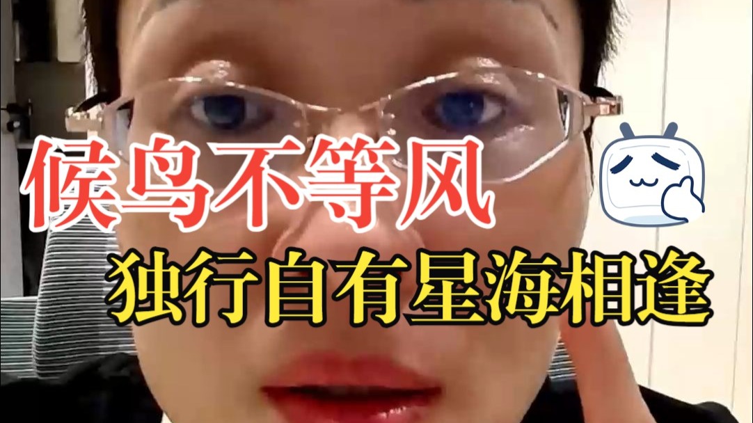 候鸟不等风，独行自有星海相逢
