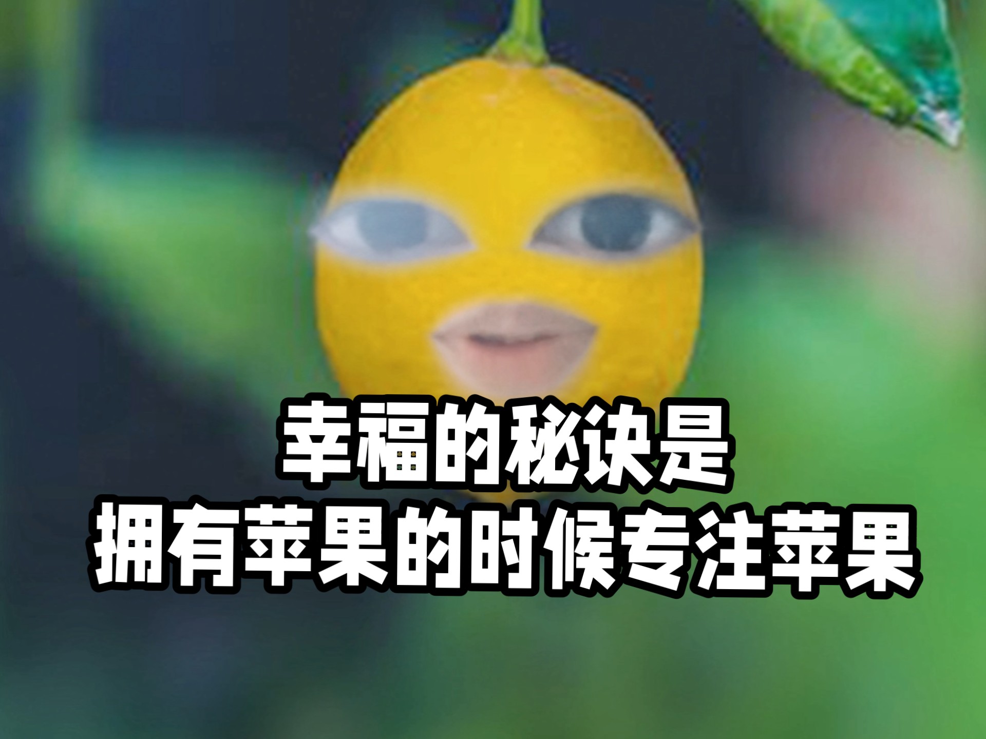 幸福的秘诀是:拥有苹果的时候享受它，失去苹果的时候接受它。