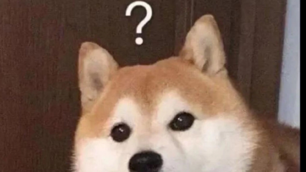 当你迷茫的时候 不妨听听年锦说的话吧