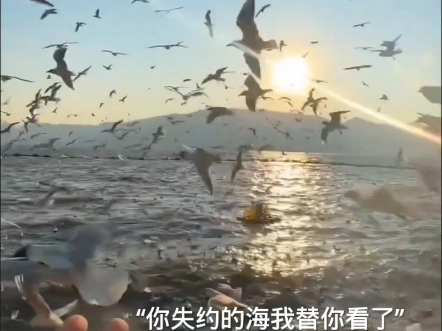 下一次一定一起