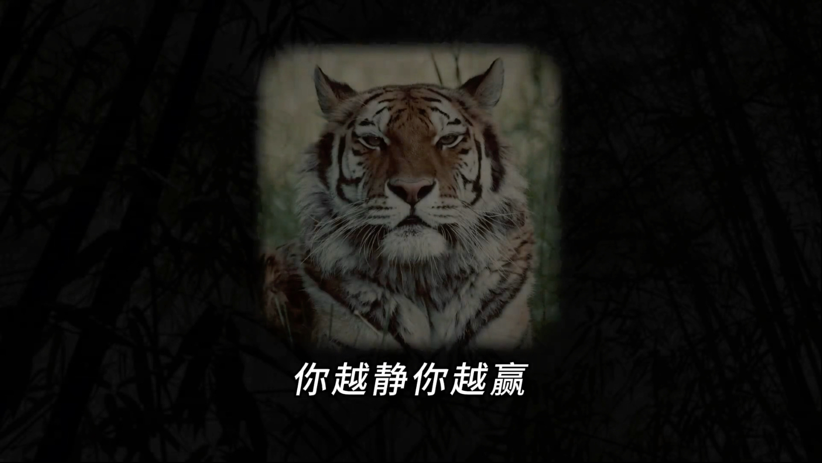 事缓则圆，人缓则安，你越放松结果就会越好，你越不在乎就会越顺利