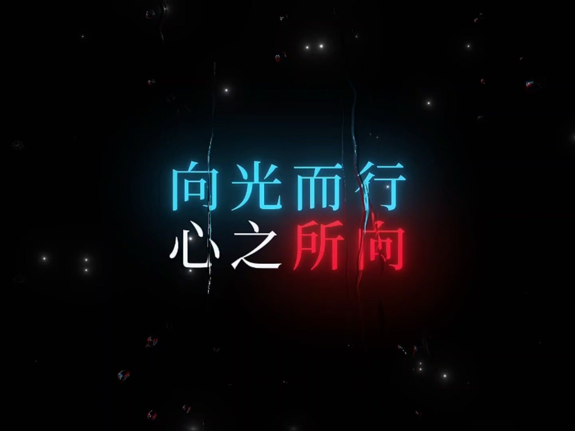 向光而行，心之所向