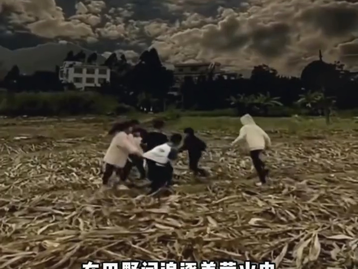 我们有多久没见过萤火虫了，就是那个记忆中会发光的小虫子