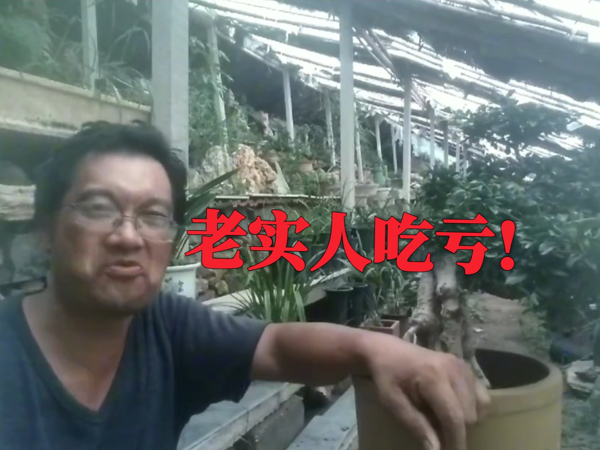老实人吃亏!