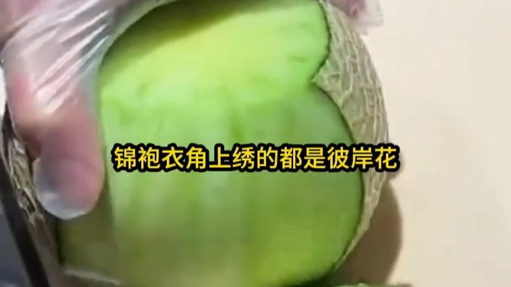 夺我仙骨为心上人逆天改命，我踏出结界九幽帝君跪成望妻石 x