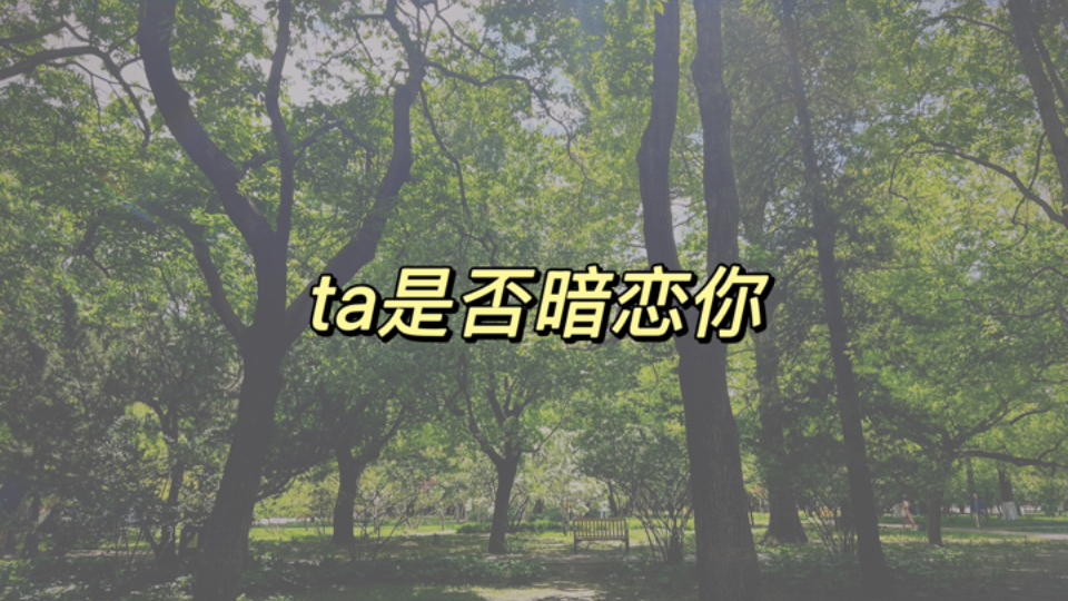【Hugelin琳】ta是否暗恋你
