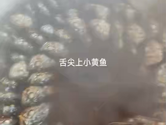 能否能否能否