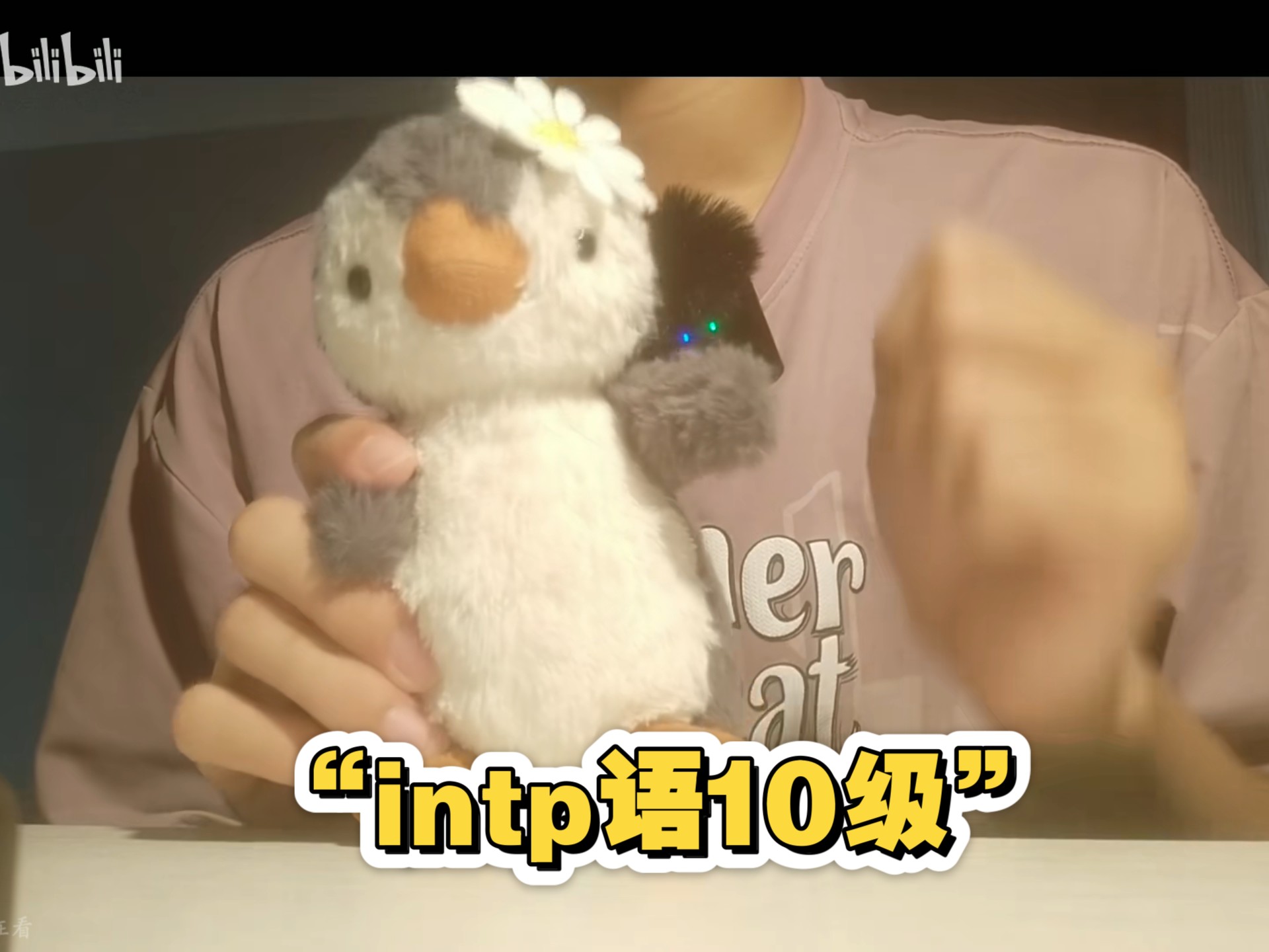 《瓶语10级》|不想与intp只当朋友从友人升级到恋爱关系
