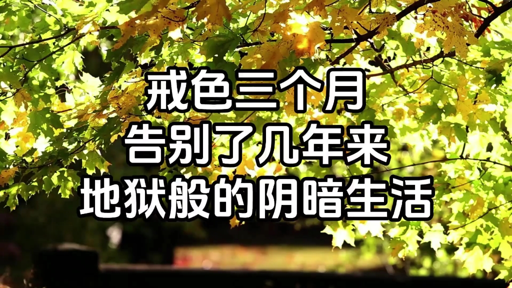 经过三个月的努力，终于告别了几年来地狱般的阴暗生活