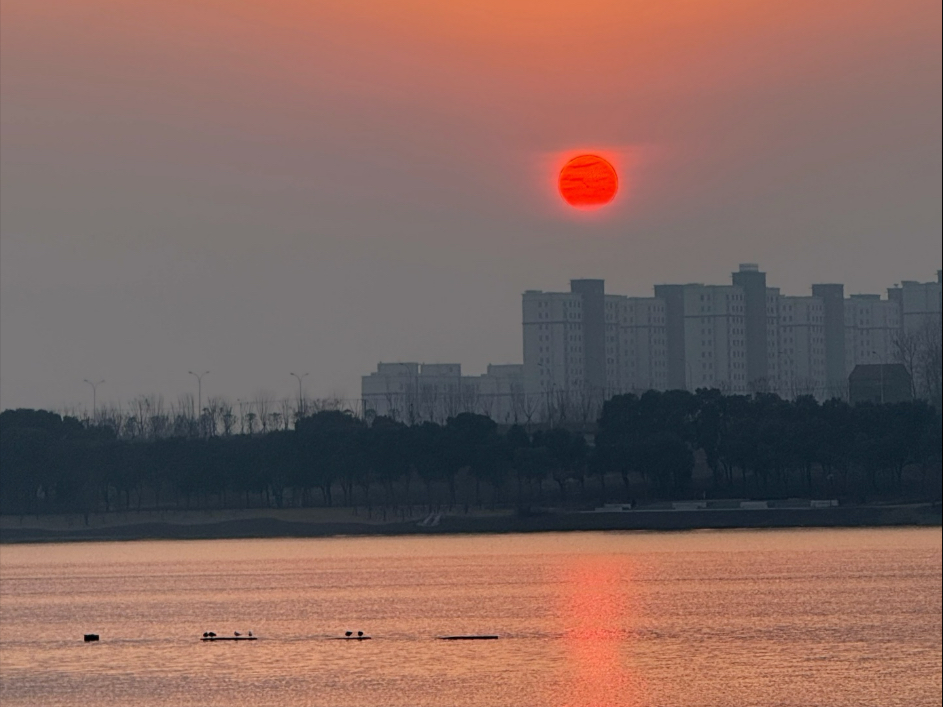 日落收集者：今天，我又赚到了！
