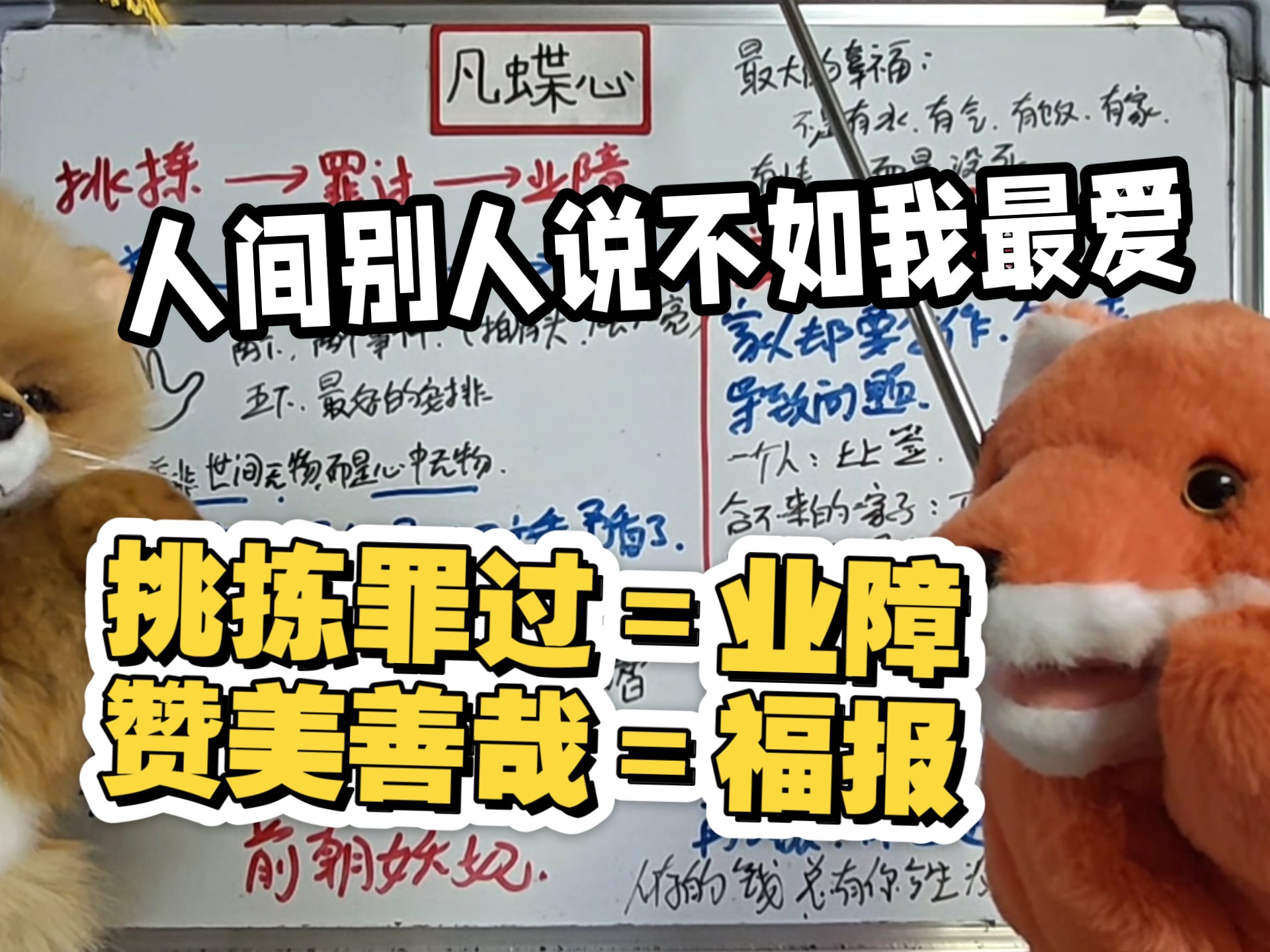 小狐狸讲课：人间极致智慧，醍醐灌顶一段话