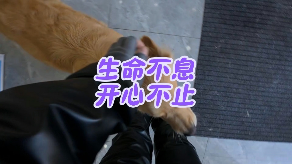 生命不息，开心不止。