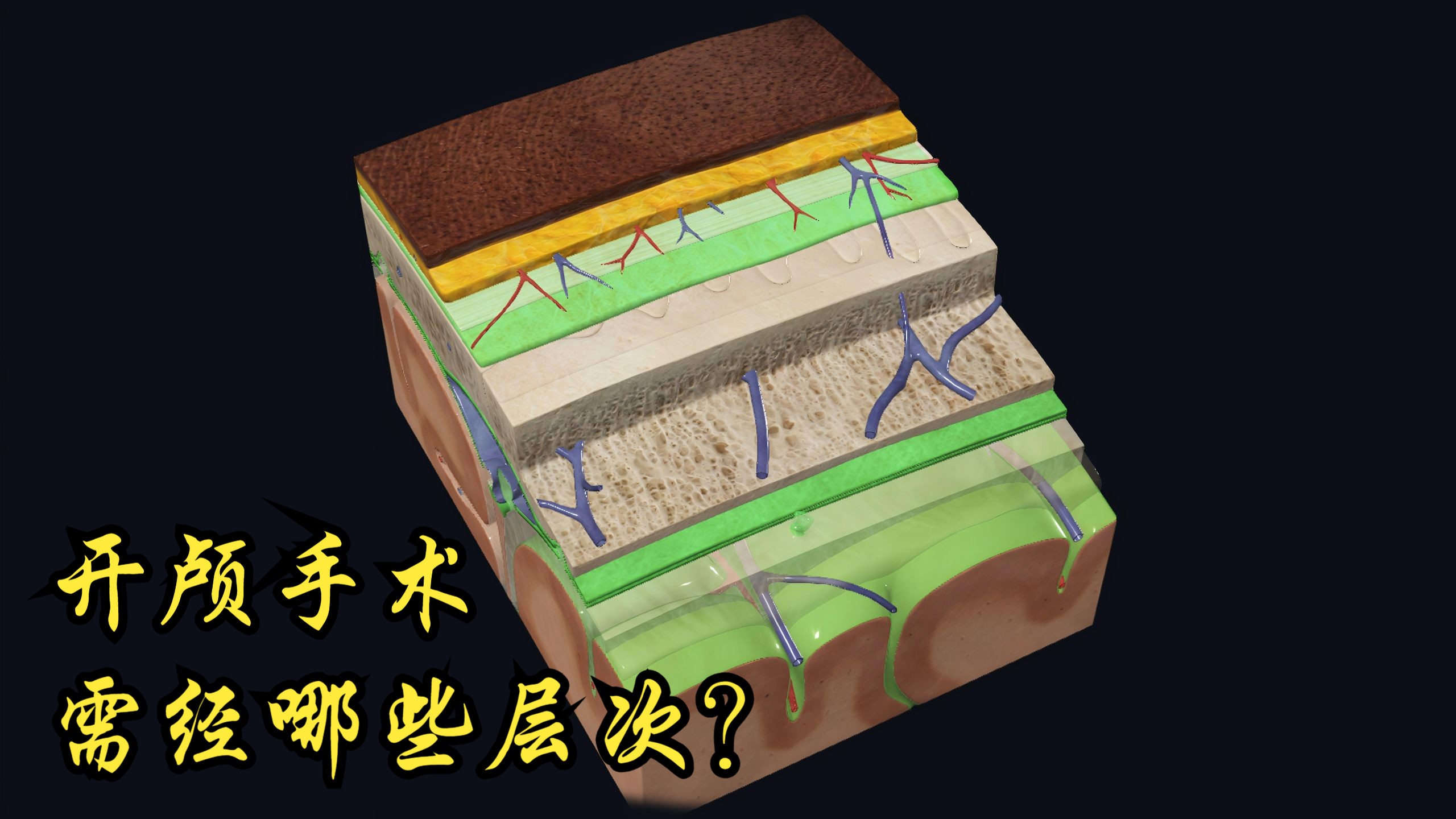 开颅手术需经过多少层才到脑？