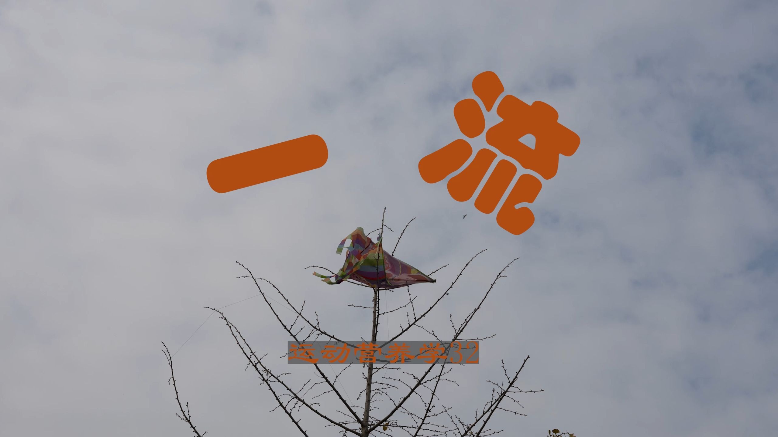 运动营养学32：维生素B1 硫胺素