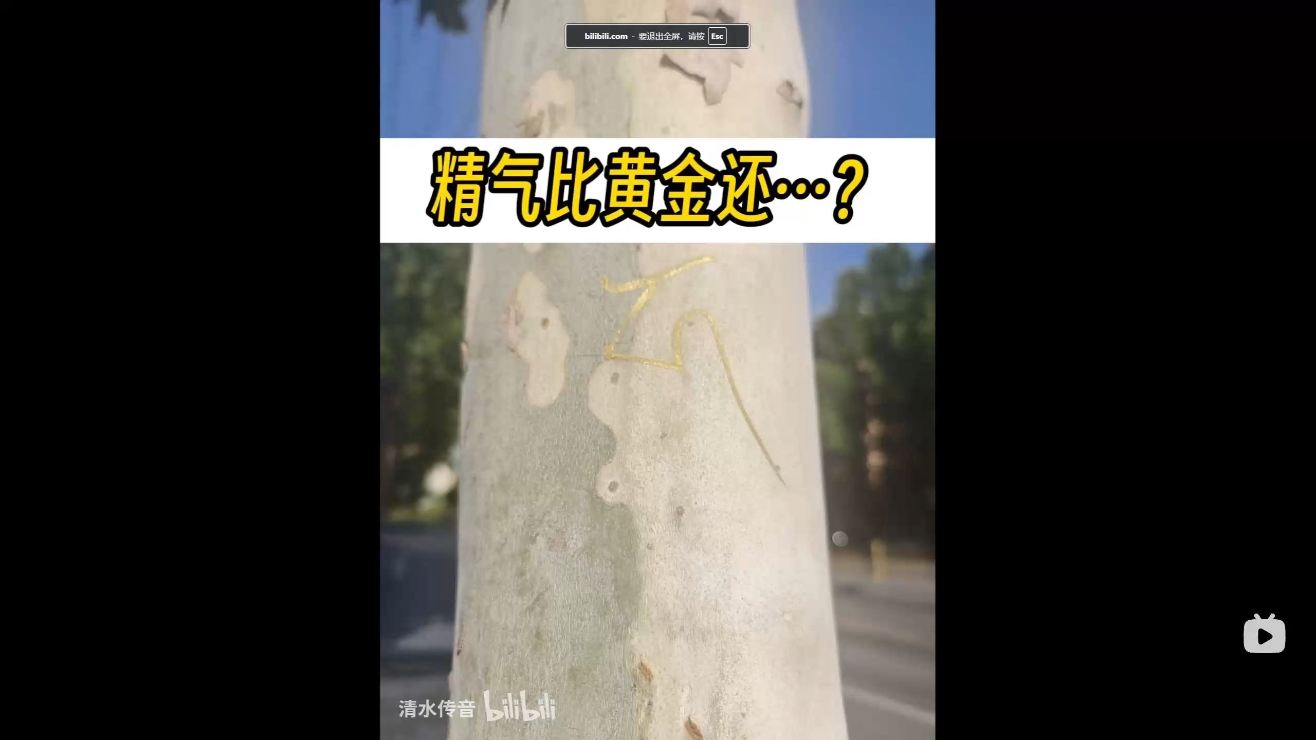 【戒色】精气比黄金还珍贵，连黄金都比不了的存在，别再浪费了！