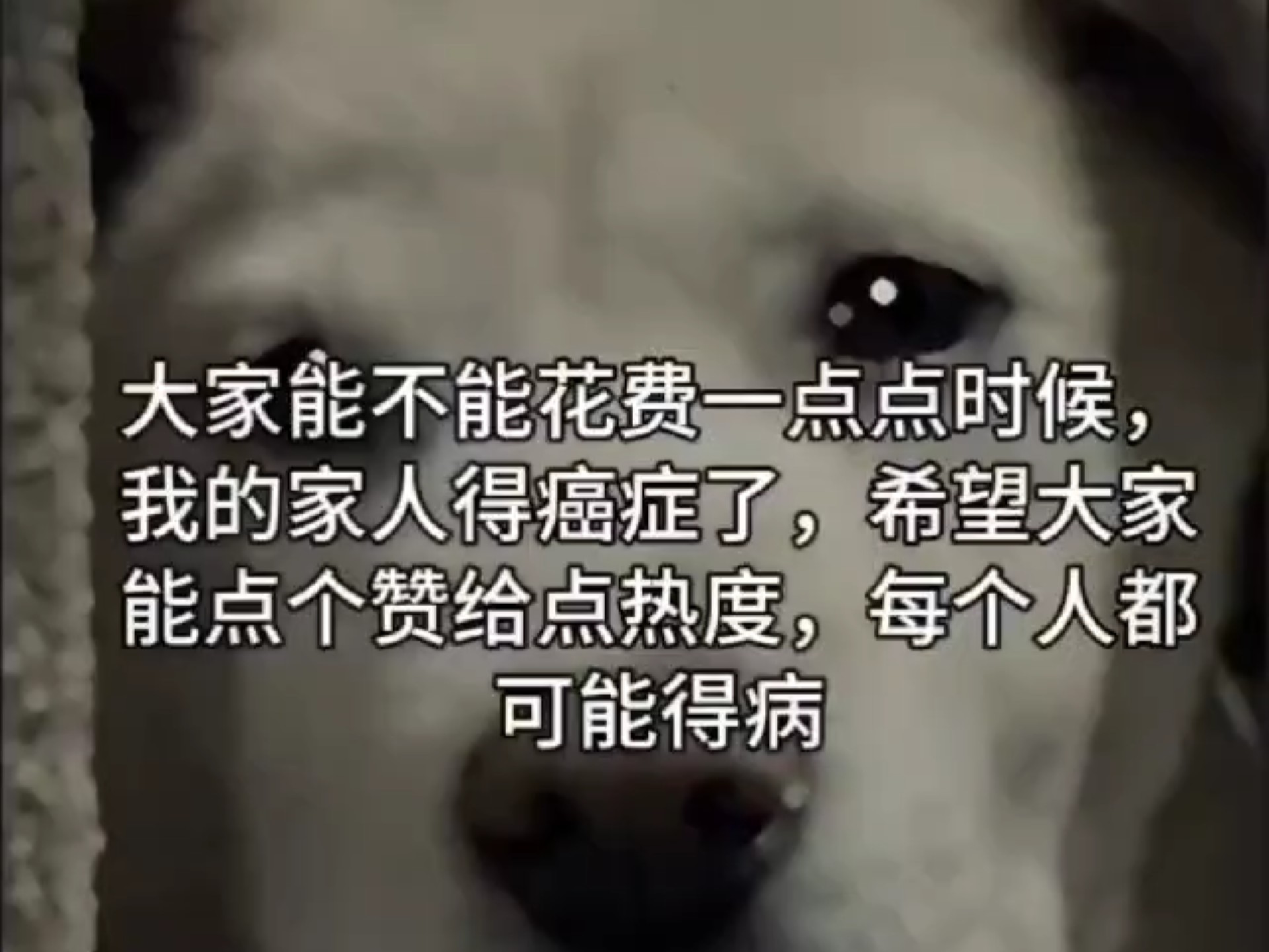 我的家人患上癌症了，拜托各位能够点赞，我妈妈需要一点救命热度