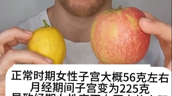 教科书上的子宫图片竟然是错误的