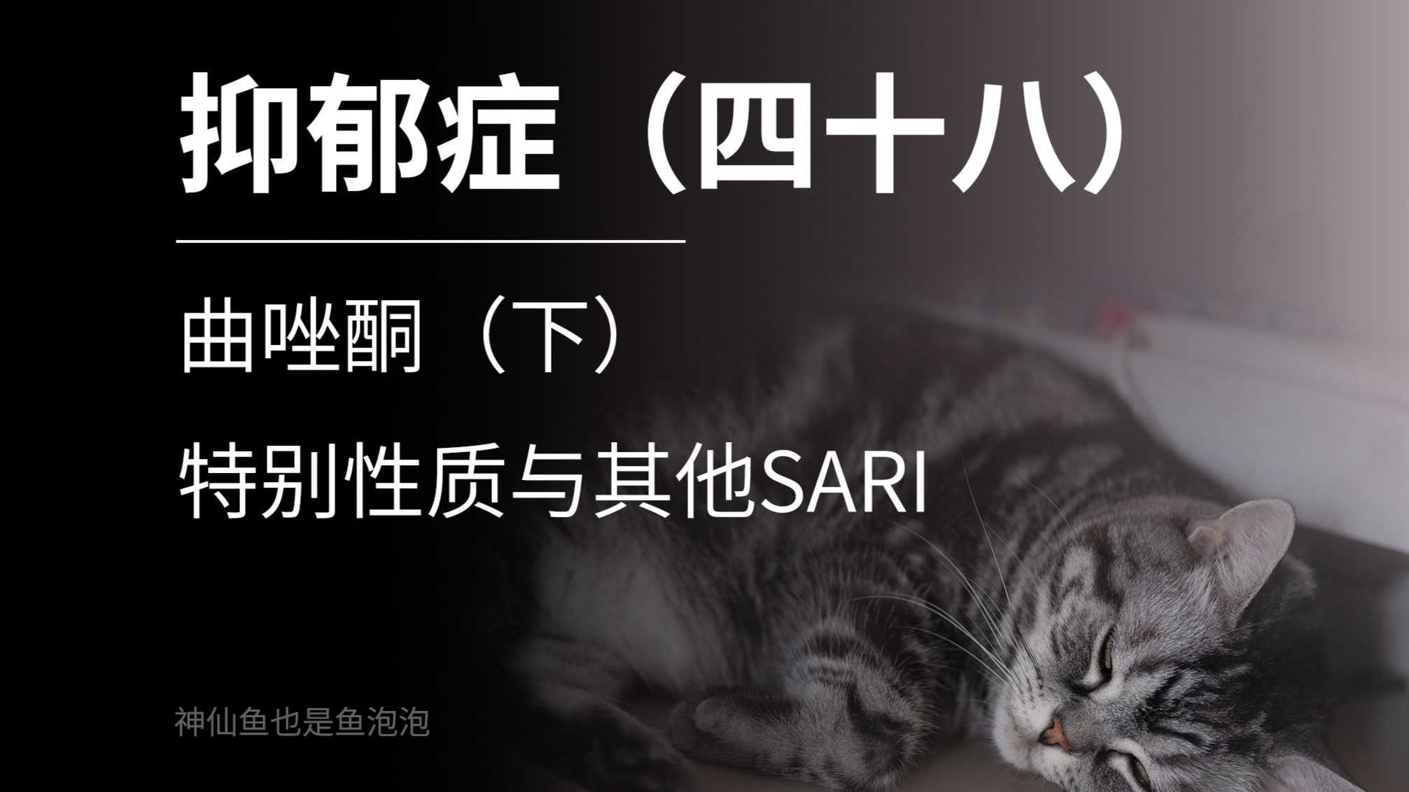抑郁症（四十八）曲唑酮（下）——特别性质与其他SARI
