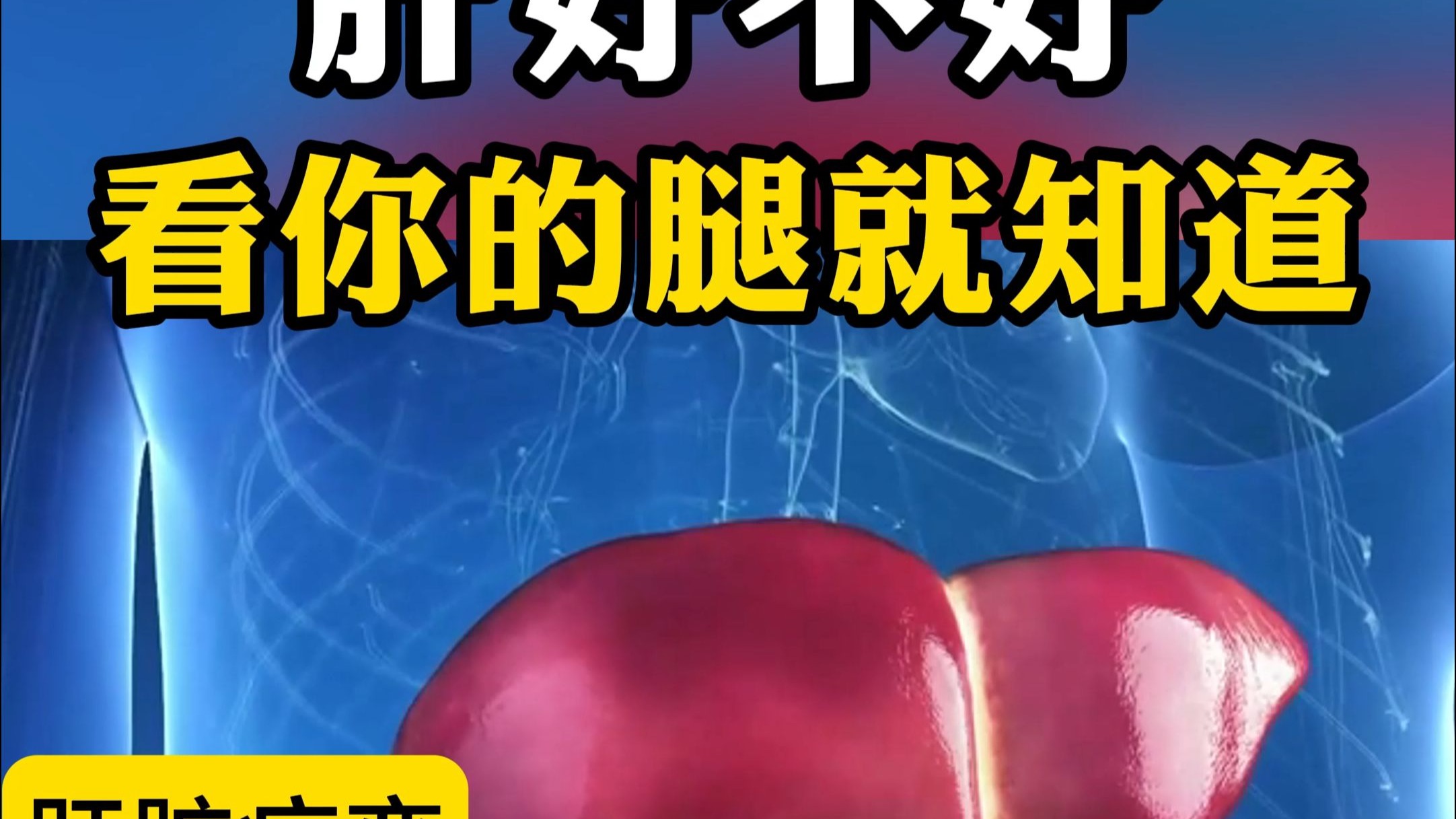 肝好不好，看你的腿就知道，做做检查还要准