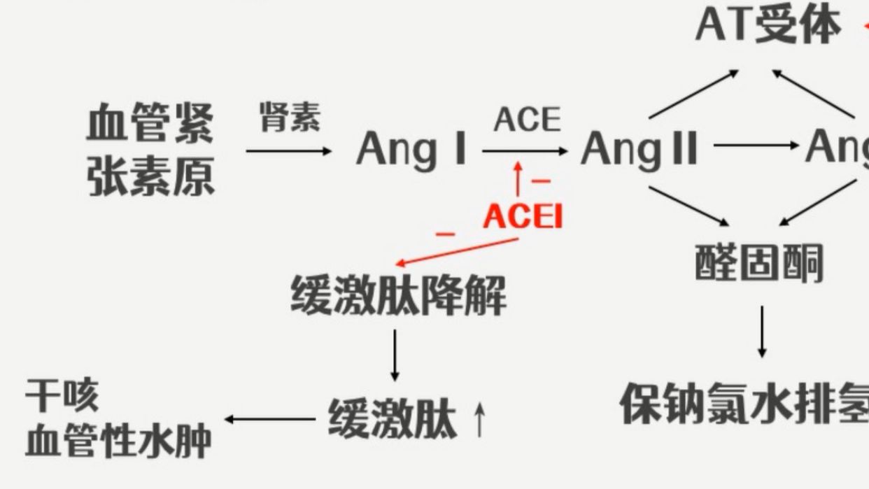 高血压必看！医生没空细讲的ACEI & β阻滞剂核心作用！
