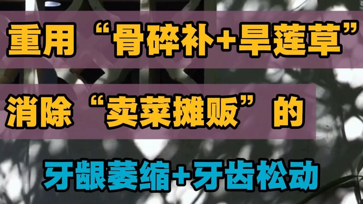 重用“骨碎补+旱莲草”，消除“卖菜摊贩”的牙龈萎缩+牙齿松动