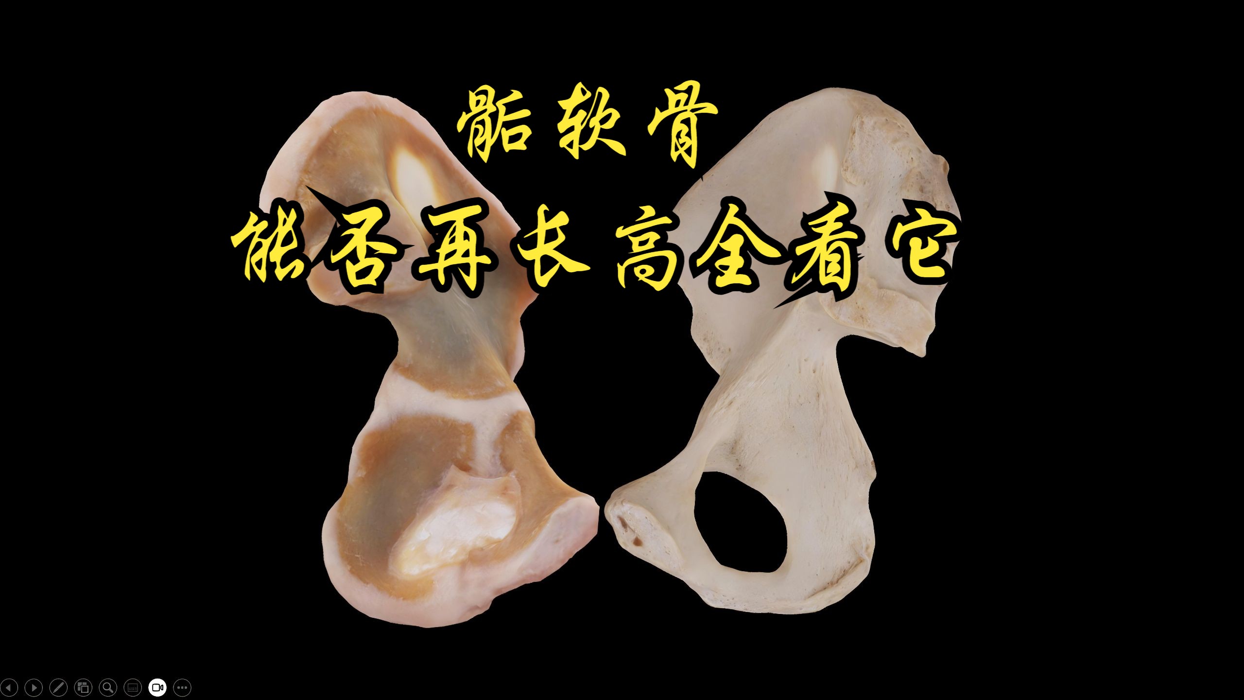 骺软骨，能否再长高，主要看它