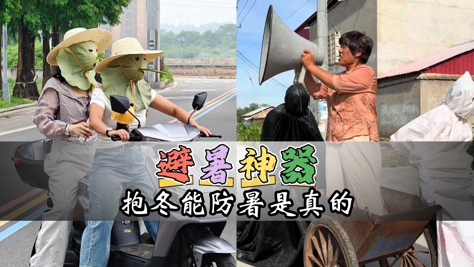 抱冬瓜睡觉能防暑？网友：不是空调开不起，而是抱冬瓜更有性价比