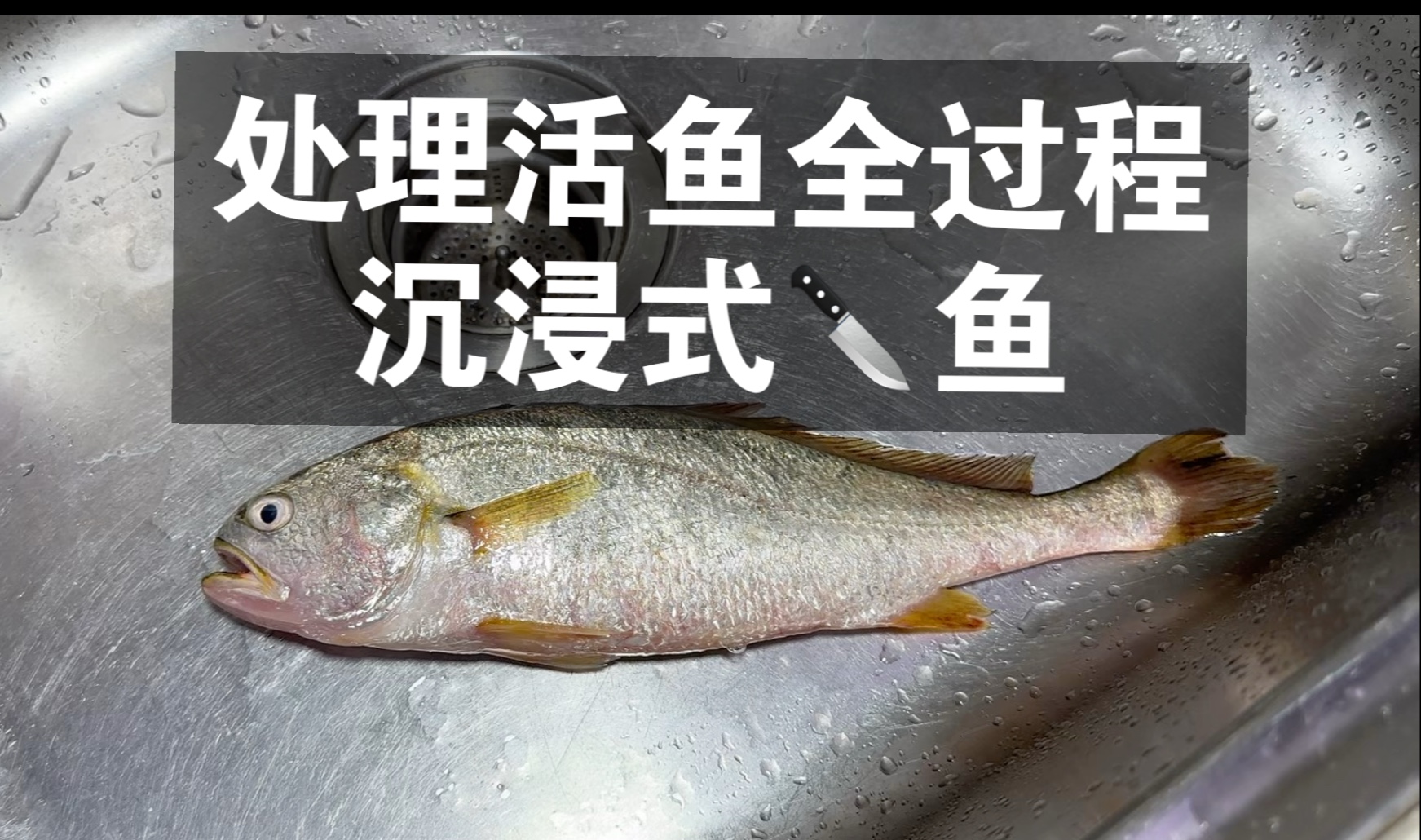 慢动作、处理活鱼全过程！！都是小技巧！！！