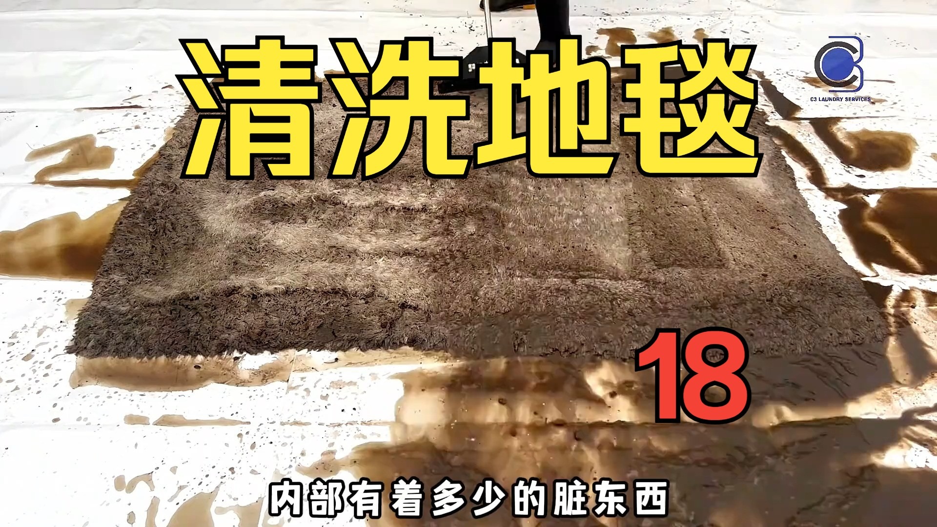 【清洗地毯】谁能想到这是一块纯白地毯