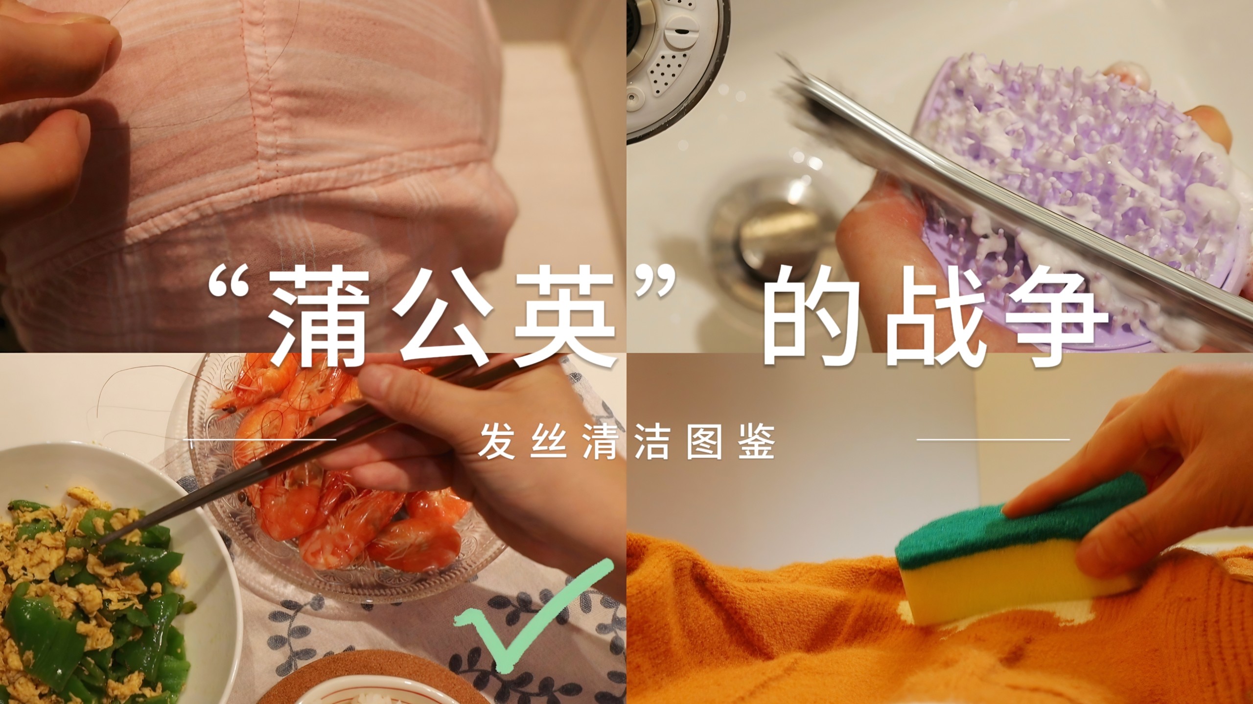 独居vlog｜“蒲公英”的战争，人发大战从未停止