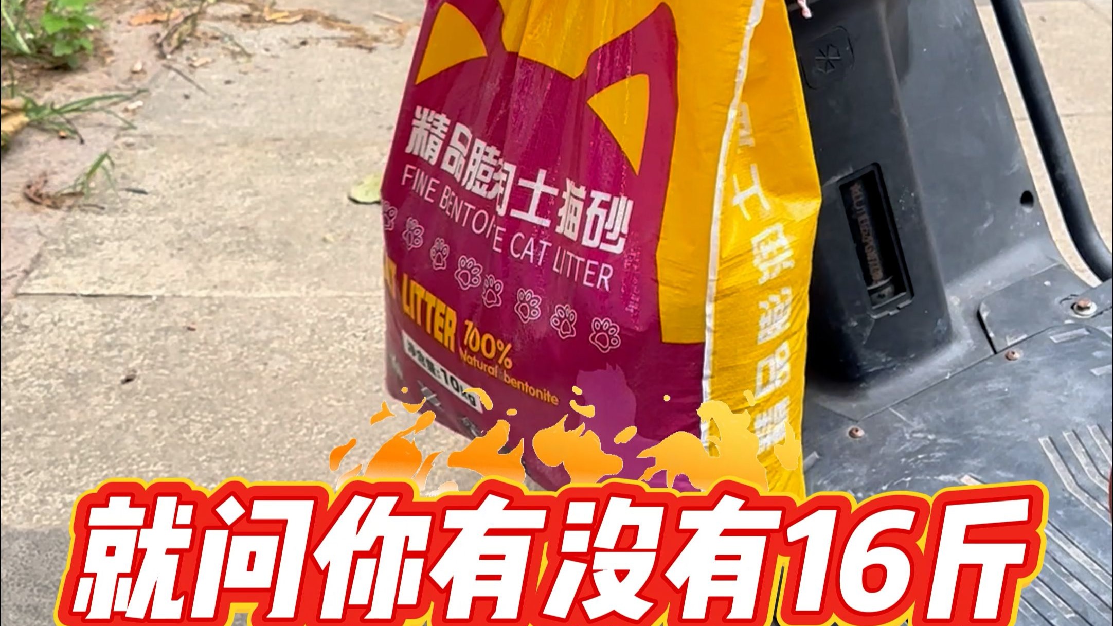 你可以说我测评不专业，但是不允许你说我测评假