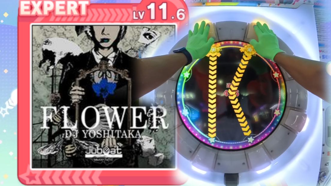 第一人称舞萌  FLOWER 红谱11.6sss+第一视角手元