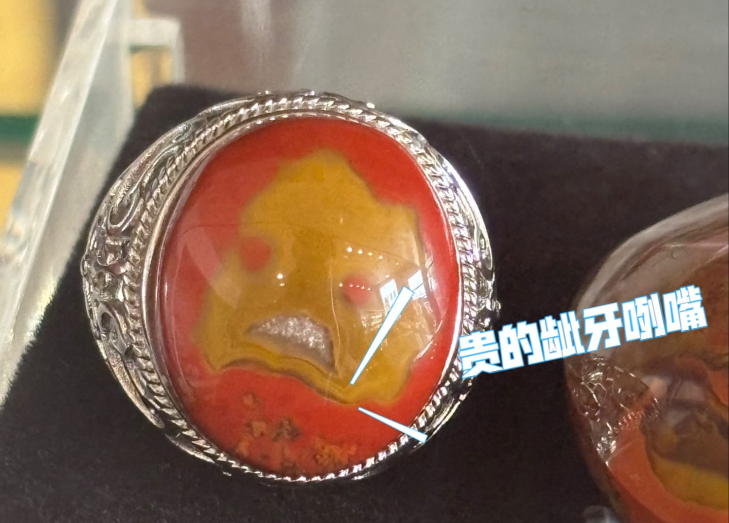 战国红市场中一些好玩的标本