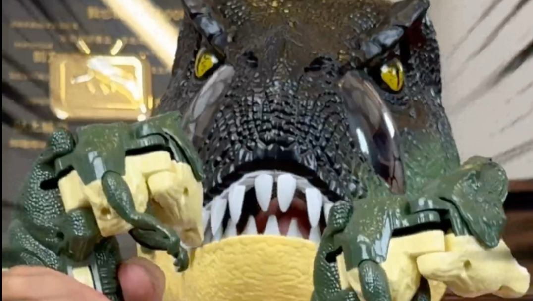 网购了一些恐龙玩具…这太戳我笑点了吧 #恐龙玩具# #青柳尊