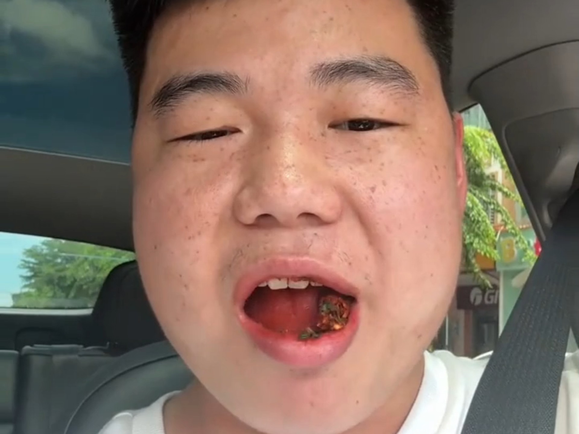 冰狼仙人早期沉浸式咀嚼海南鲜果 最后明显大果发力了