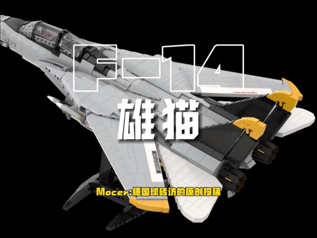 来自圈友UP:德国球砖访的原创作品投稿，F-14雄猫战斗机@德国球