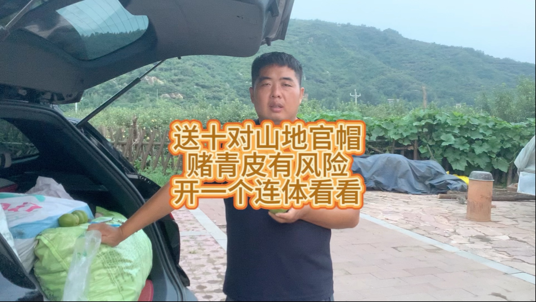 免费送十对官帽山地果 免邮费 再开一个青皮连体 开青皮有风