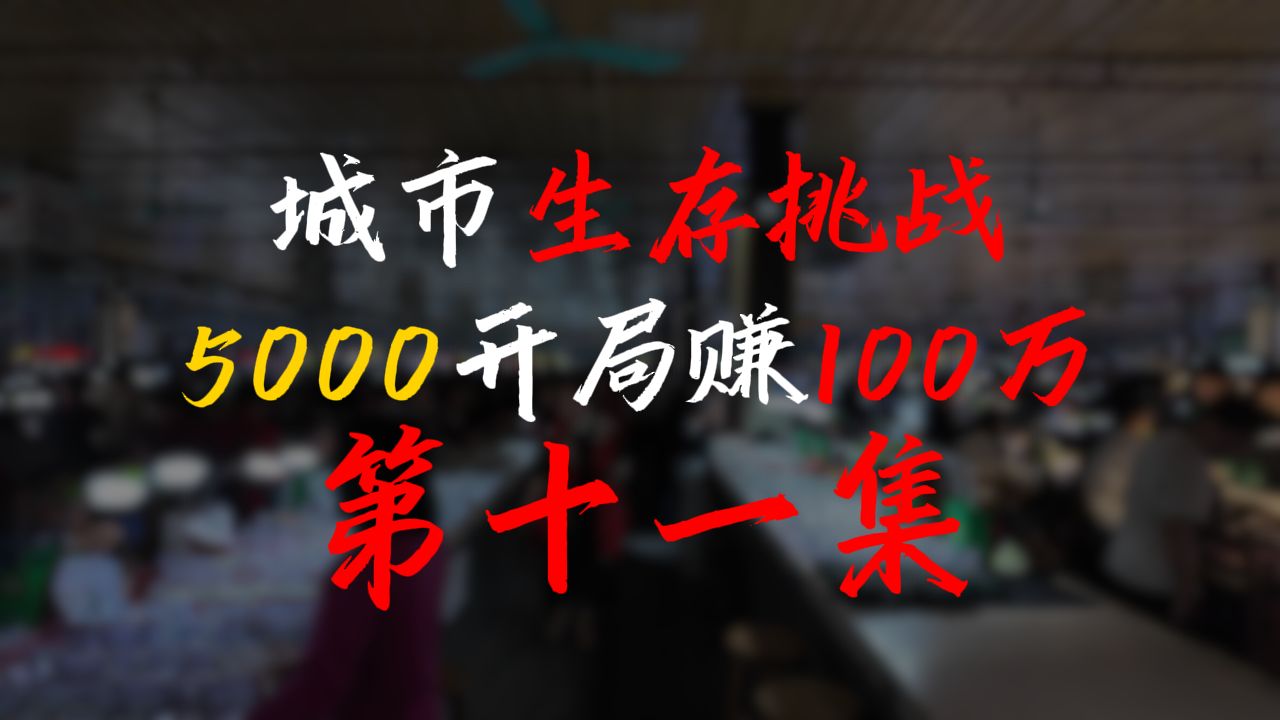 城市生存挑战 5000开局赚到100万丨第十一集