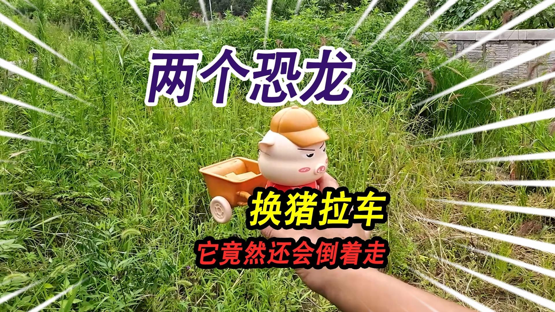 我用两个走路恐龙玩具，换伙伴的小猪拉车玩具，它竟然还会倒着走