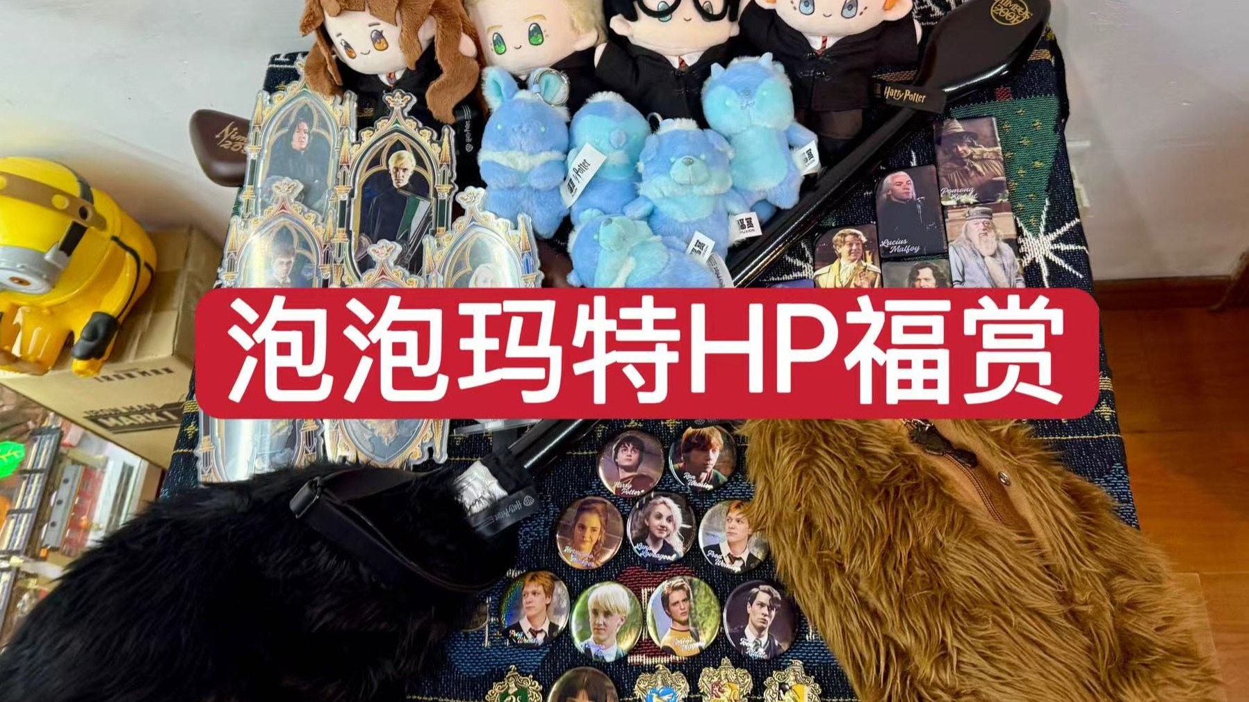 35岁的哈迷，正是适合all in的年纪。