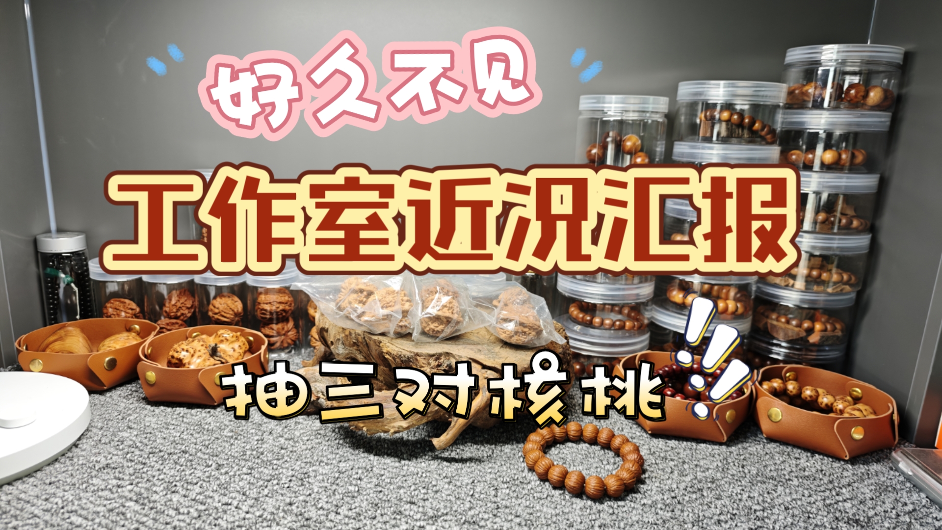 失踪人口回归！聊聊近况，包车马送三对核桃～