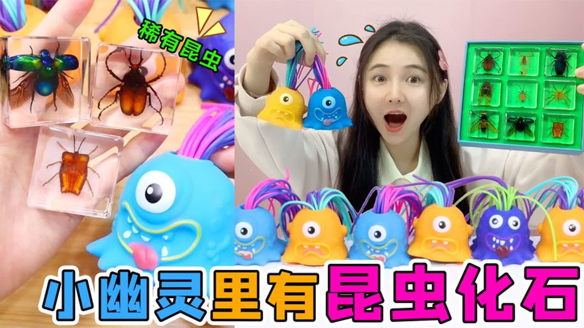 尖叫幽灵里有“稀有昆虫”！黑甲VS金龟子，还有被压扁的小龙虾？