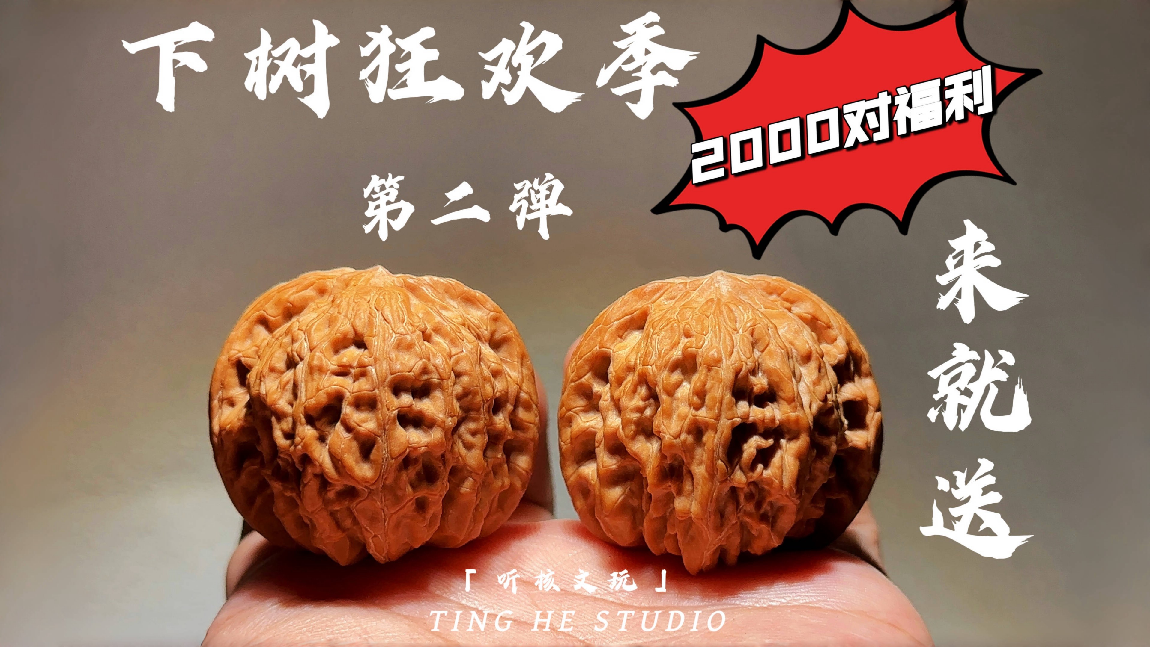 下树狂欢第二弹他来了，2000对福利等待领养！！！