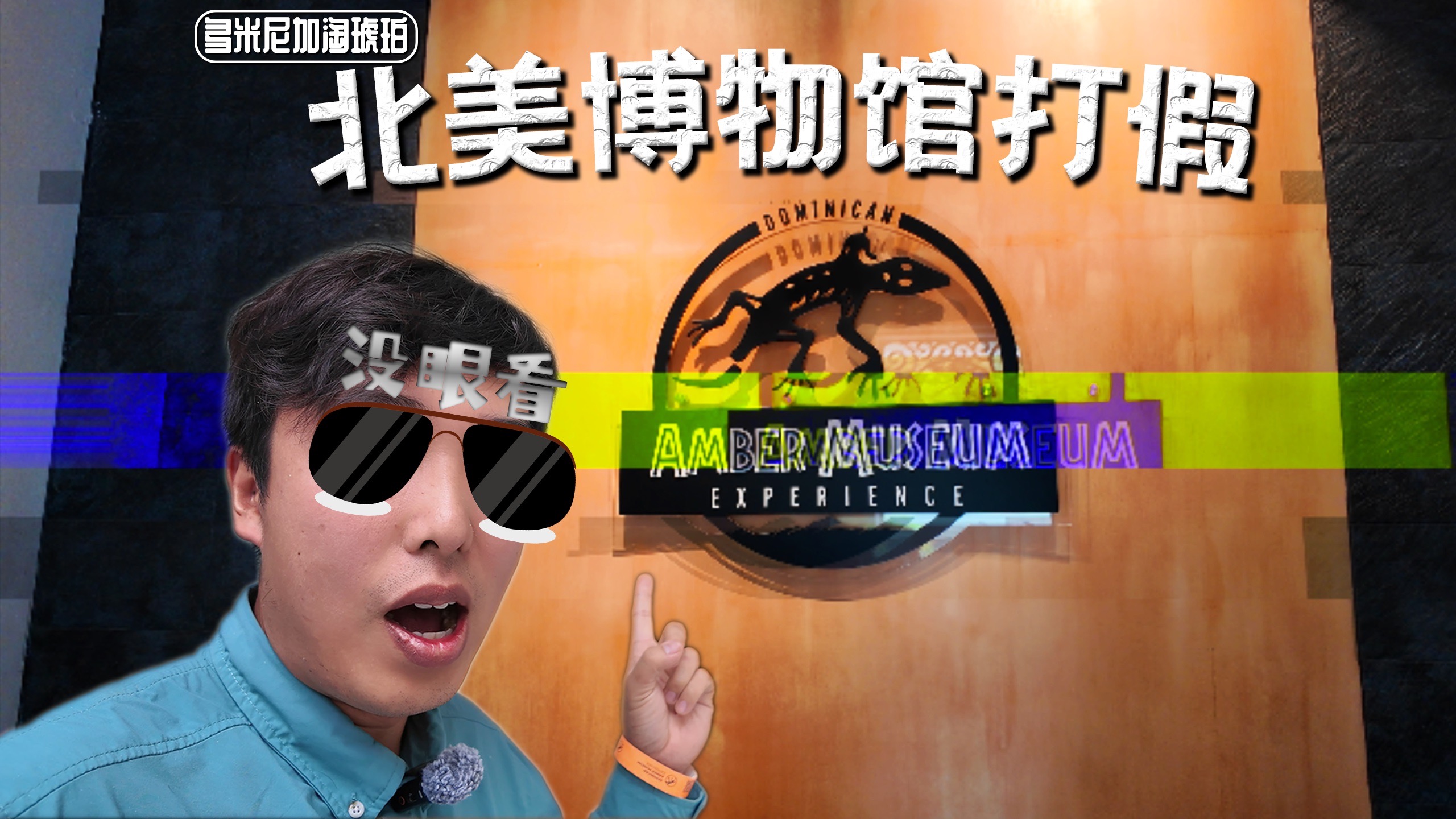 【陈睿】打假北美博物馆，碰瓷还是真有料？竟然有蜥蜴琥珀！