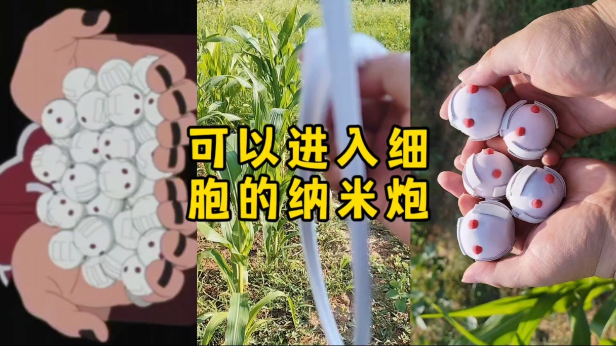 我的口水会爆炸之，迪达拉同款可以吸入肺里，进入细胞的纳米级摔