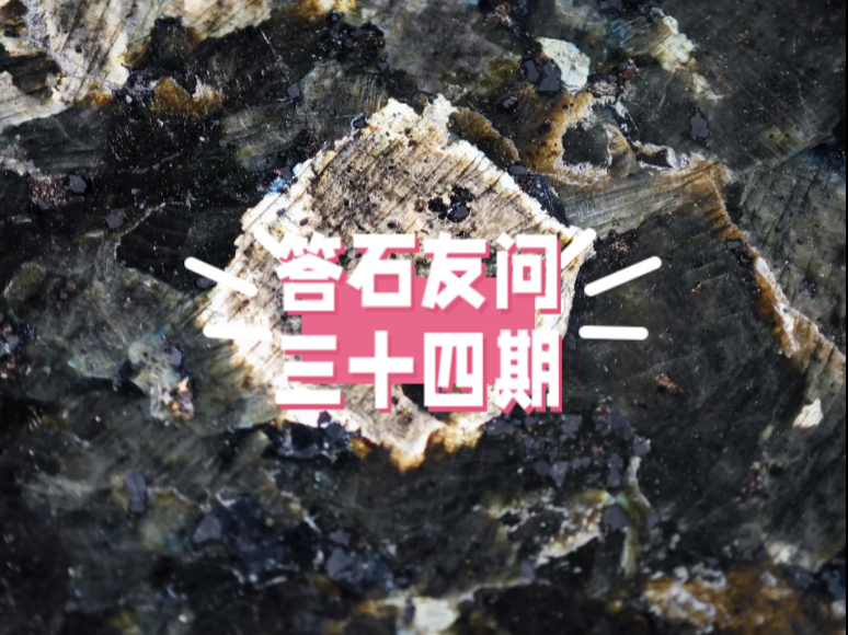 石友，你捡到的是什么石头？（三十四期）