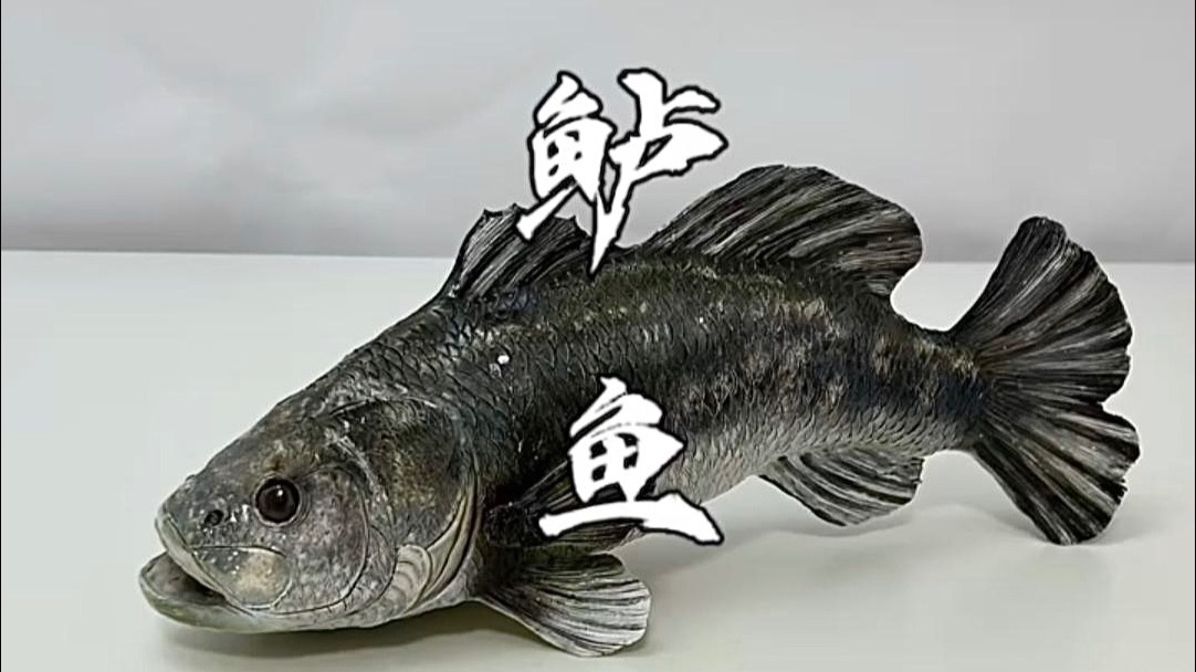用白砂糖做了一条鲈鱼，外面买的哪有自己做的香
