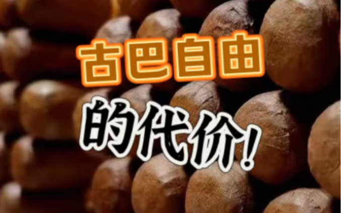 对涨价最冷静的一批人，一定是龙鞘的用户们，随便涨