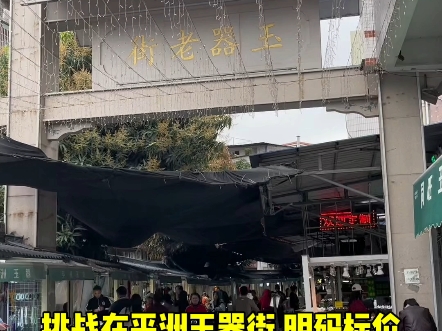 挑战在全国最大翡翠市场平洲明码标价第一期