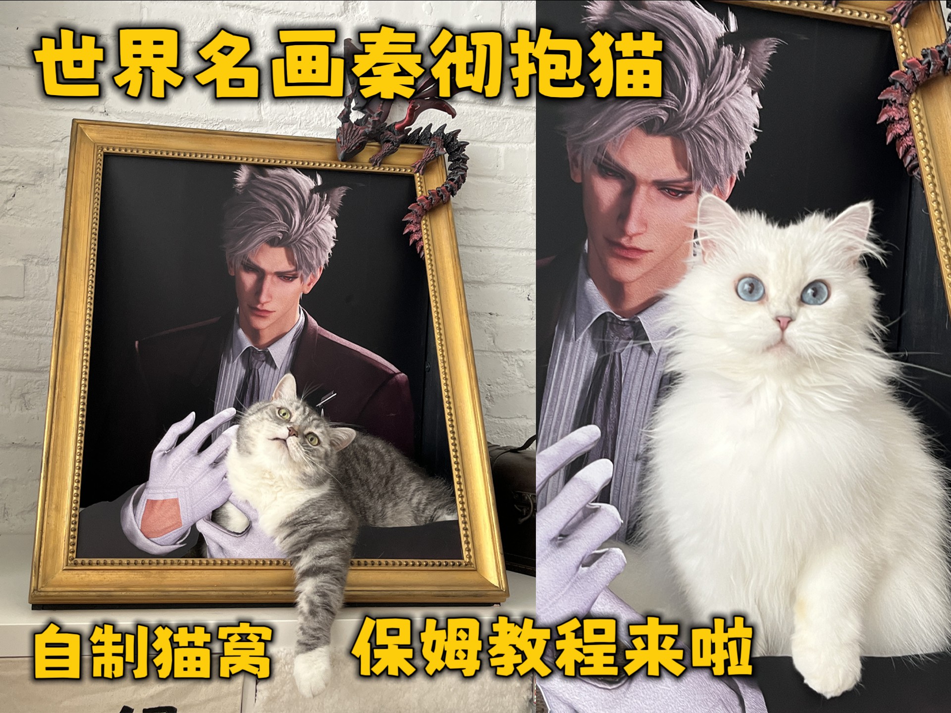 自制秦彻抱猫猫窝保姆级教程